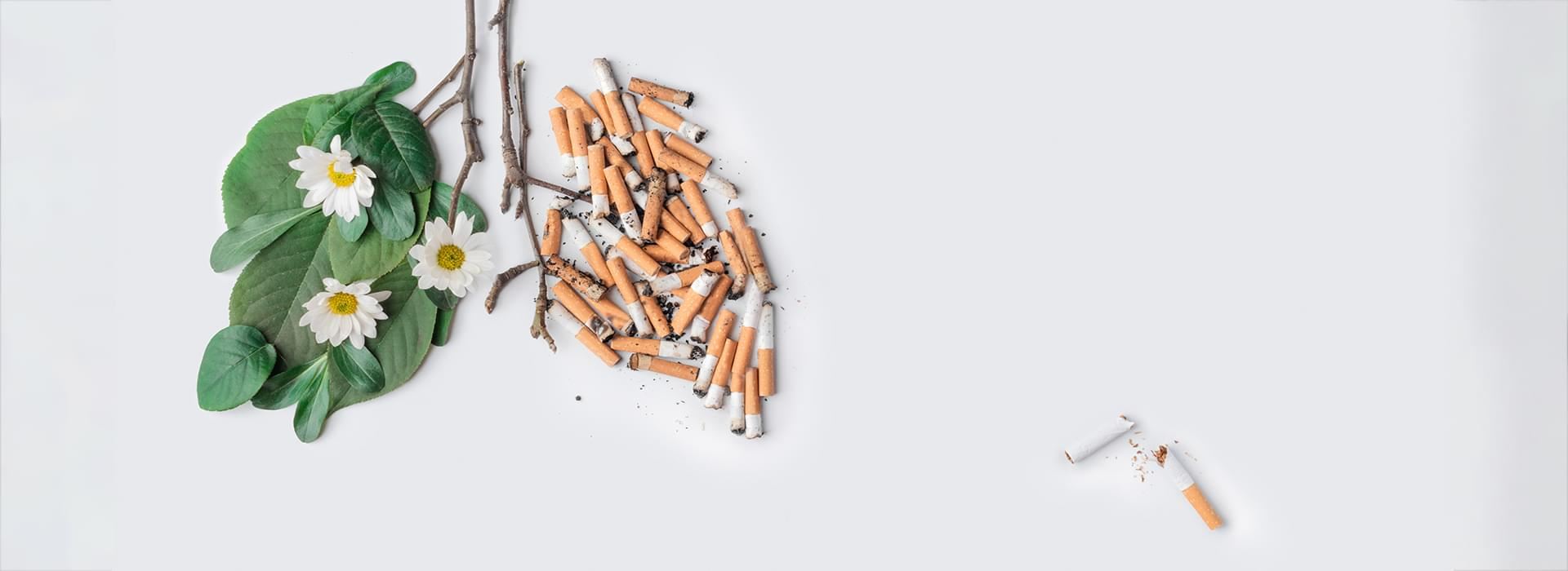 Smokers Requirements of Antioxidants